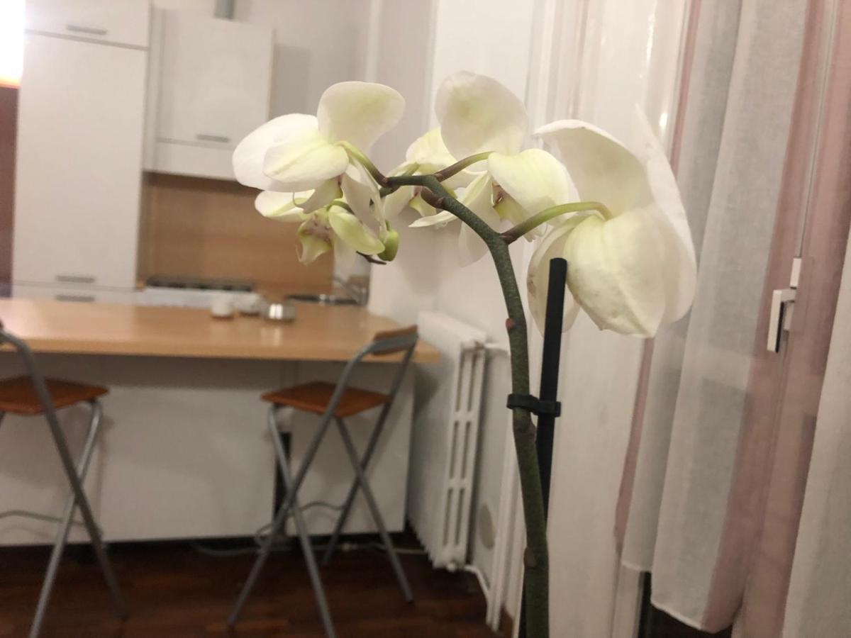 Romantica Darsena Μιλάνο Εξωτερικό φωτογραφία
